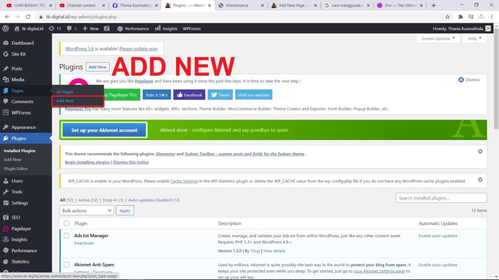 Cara Membuat Landing Page di WordPress Dengan Beaver Builder