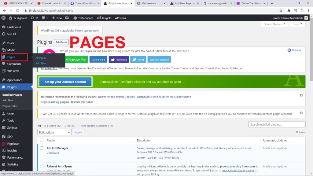 Cara Membuat Landing Page di WordPress Dengan Beaver Builder